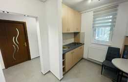 Apartament 3 camere, 50 mp, zona Grigore Alexandrescu 