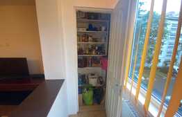 Apartament 3 camere, 60 mp, PET FRIENDLY, zona Fântânele