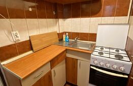 Exclusivitate! Pret REDUS! Garsoniera mobilata si utilata, 21 mp, zona Fabricii 