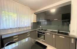 Apartament modern, 2 camere, 55 mp, parcare, zona strazii Plopilor