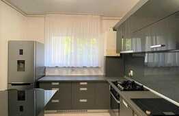 Apartament modern, 2 camere, 55 mp, parcare, zona strazii Plopilor