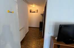 Apartament de 2 camere, mobilat si utilat, zona Florilor