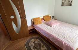 Apartament de 2 camere, mobilat si utilat, zona Florilor