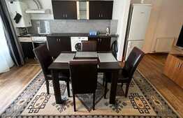 Apartament de 2 camere, mobilat si utilat, zona Florilor