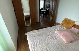 Apartament de 2 camere, mobilat si utilat, zona Florilor