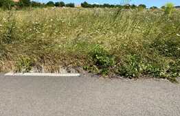 Teren de 871 mp, proiect si autorizatie de constructie, Tureni