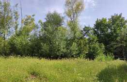 Teren cu autorizatie de constructie, 385 mp, zona Denver