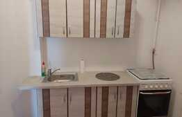 Garsonieră decomandată, PET FRIENDLY, 40 mp, zona străzii Horea