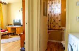 Apartament 2 camere, mobilat, etaj intermediar, zona Gheorgheni