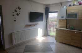 Apartament de 3 camere, 56 mp, zona Buna Ziua