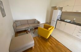 Apartament 2 camere, 50 mp, zona Ultracentrala