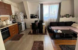 Apartament 2 camere, 53 mp, zona Muzeul Apei