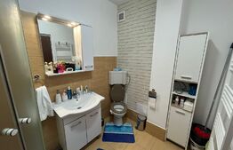 Apartament 2 camere, 53 mp, zona Muzeul Apei