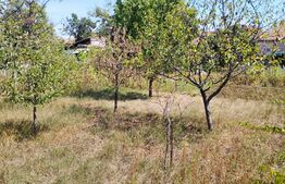 Casa individuala de 91 mp, 500 mp teren, zona strazii Plevnei