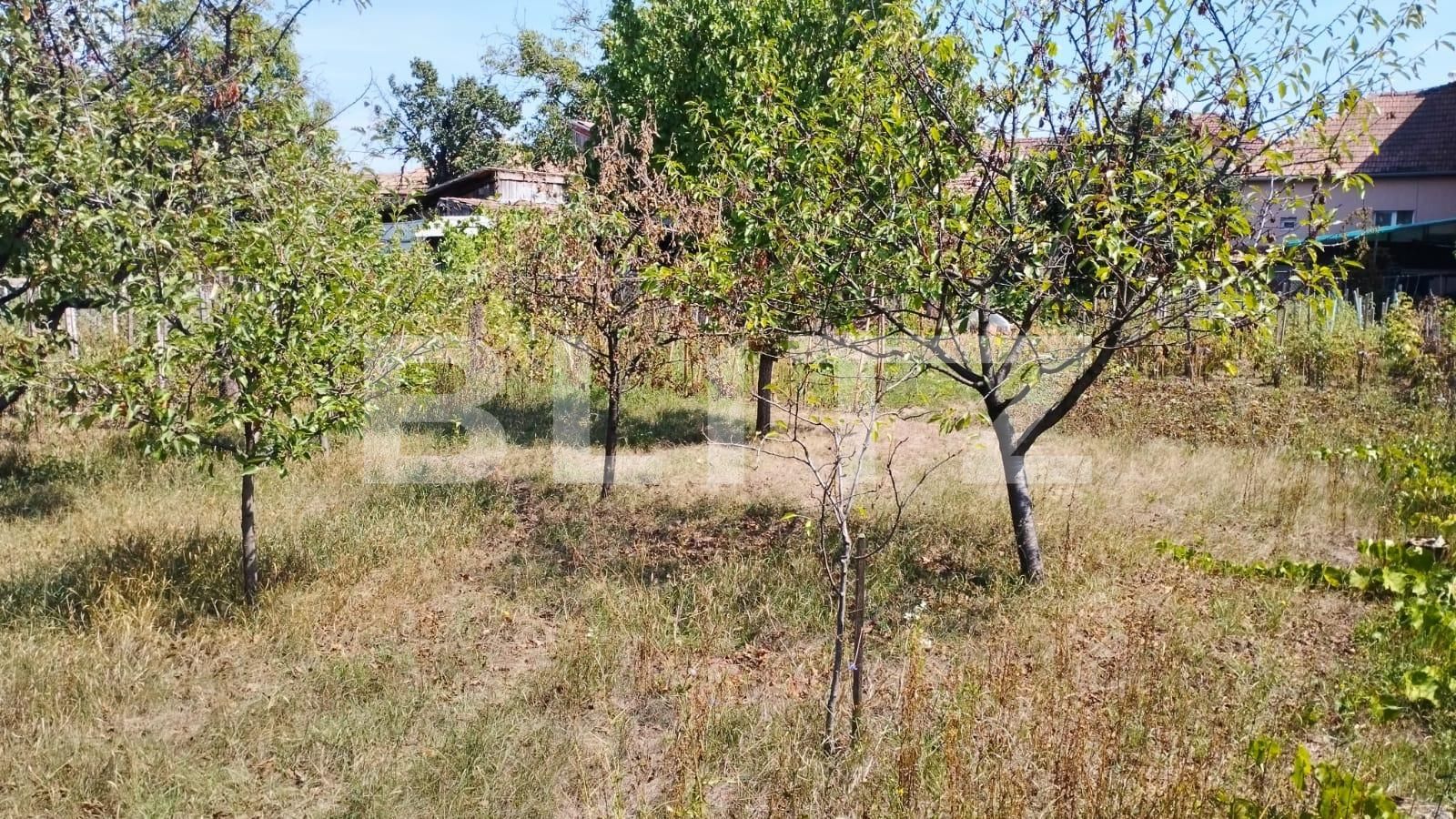 Casa de vânzare 2 camere Bulgaria - 94911CV | BLITZ Cluj-Napoca | Poza4