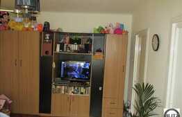 Apartament de vanzare cu 2 camere, 43 mp utili, etaj intermediar, zona Garii!