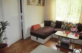 Apartament de vanzare cu 2 camere, 43 mp utili, etaj intermediar, zona Garii!