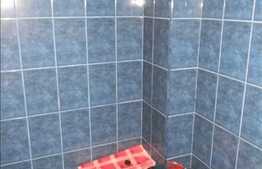 De vanzare 1 camera, 32 mp utili, parter inalt, zona Grigore Alexandrescu!