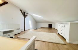 Apartament de 4 camere, 160 mp, gradina, parcare, zona strazii Plevnei