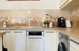 Apartament de 4 camere, 160 mp, gradina, parcare, zona strazii Plevnei