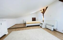 Apartament de 4 camere, 160 mp, gradina, parcare, zona strazii Plevnei