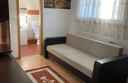 Garsonieră 27 mp, la casă, zona Câmpului, Mănăștur