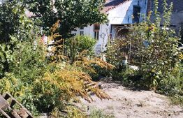 Teren 365 mp, cu casa demolabila, zona Iris, pentru construit!