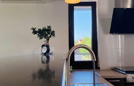 Apartament 2 camere, 55 mp, terasa, garaj, zona Romul Ladea