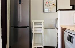 Apartament 2 camere, 55 mp, terasa, garaj, zona Romul Ladea