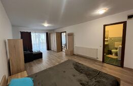 Apartament 1 camera decomandat, 41 mp, parcare, orientare sudica, zona Stejarului