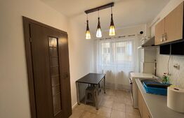 Apartament 1 camera decomandat, 41 mp, parcare, orientare sudica, zona Stejarului