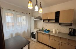 Apartament 1 camera decomandat, 41 mp, parcare, orientare sudica, zona Stejarului