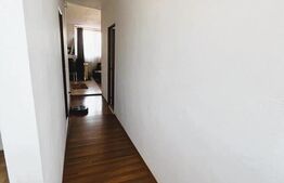 Apartament 2 camere, 53 mp, acces facil, zona Muzeul Apei