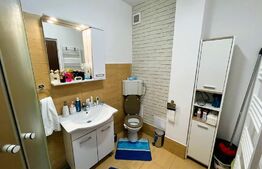 Apartament 2 camere, 53 mp, acces facil, zona Muzeul Apei