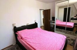Apartament 2 camere, 53 mp, acces facil, zona Muzeul Apei