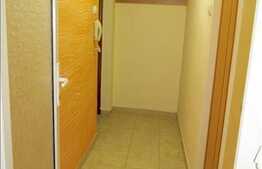 Inchiriere apartament cu 2 camere, 38 mp utili, zona Alverna