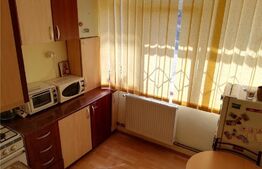 Garsoniera de 24 mp, zona Sud 