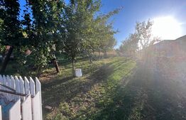 Casa individuala, 270 mp, 7 camere, 600 mp teren, zona Dezmir