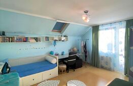 Casa individuala, 390 mp, 6 dormitoare, zona strazii Campului