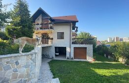 Casa individuala, 390 mp, 6 dormitoare, zona strazii Campului
