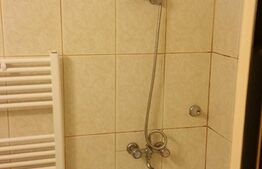 Garsoniera de 24 mp, etaj intermediar, zona Marasti