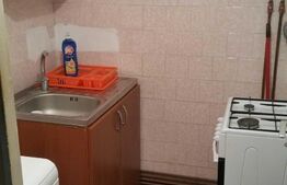 Garsoniera de 24 mp, etaj intermediar, zona Marasti