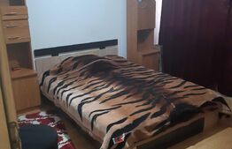 Garsoniera spatioasa, 38 mp, zona Manastur