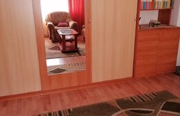 Apartament 2 camere, 50 mp, balcon, zona Piata Abator