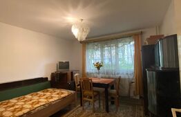 Apartament 2 camere, decomandat, zona Iulius Mall