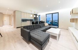 Apartament 3 camere, prima inchiriere, terasa, zona Observator