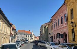 Garsoniera in casa, 39mp utili + beci 30mp, pretabil de investitie, Centru Vechi