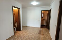 Apartament 3 camere decomandat, 90 mp, parcare, zona Muzeul Apei