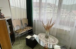 Garsoniera, 40 mp, parcare, etaj intermediar, zona Florilor 