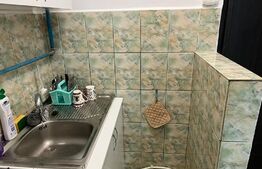 Garsonieră 21 mp, parter, recent renovată, zona liniștită, Expo Transilvania